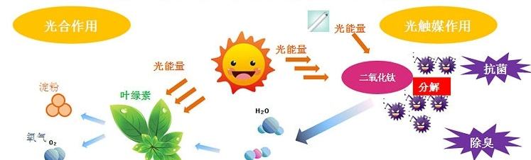 甲醛治理用什么辦法最正確？這三點(diǎn)常見的除甲醛辦法其實(shí)是誤區(qū)