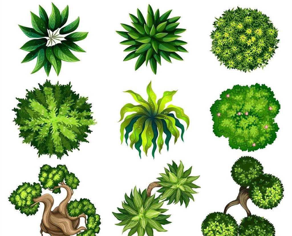 可以凈化室內(nèi)空氣的植物，這二十種您需要好好了解一下！