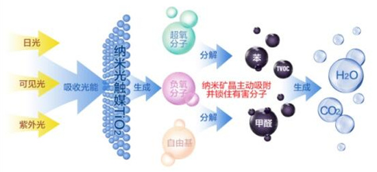 洋蔥可以除甲醛？民間流傳土方法可信嗎？