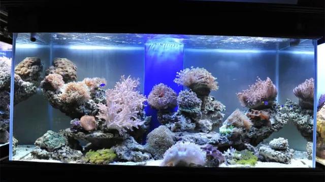 家中旺位和衰位在哪里？三分鐘學習室內風水學