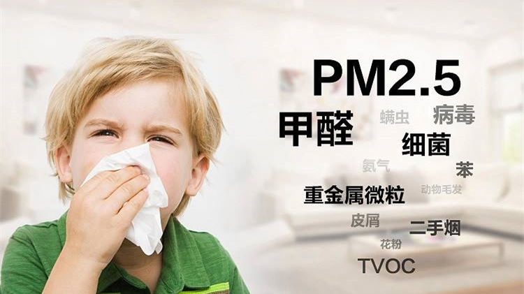 誰說二手車沒有甲醛？汽車除甲醛最有效方法告訴您
