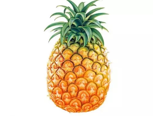 通風(fēng)半年甲醛仍超標(biāo)？甲醛治理要注意
