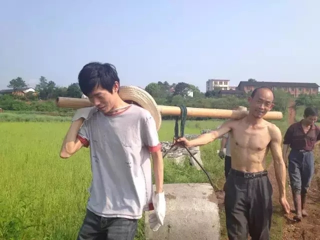 青春是用來(lái)奮斗的，除甲醛的青春最美麗！