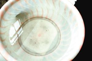 疫苗事件背后：您是否想過除甲醛產(chǎn)品也存在無效情況？