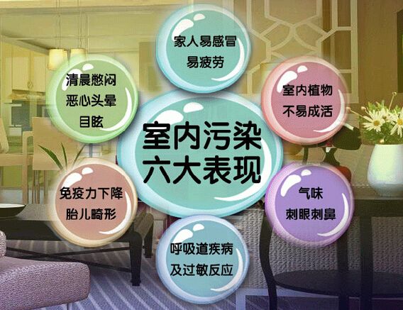 去甲醛加盟怎么樣？三點(diǎn)選址技巧讓您生意火爆