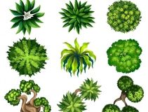 可以凈化室內(nèi)空氣的植物，這二十種您需要好好了解一下！