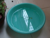 裝修完僅靠兩盆冷水就能除甲醛？這個(gè)說法連網(wǎng)友都出來辟謠！大家別再相信了！