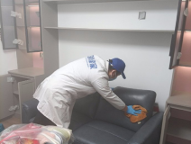 除甲醛都有哪些方法比較好用？