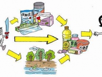食品中有塑化劑嗎？這些食品中含有大量塑化劑，食用時(shí)一定要注意！