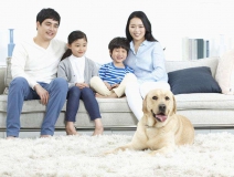 家里甲醛超標(biāo)怎么辦，受污染影響的人群有哪些