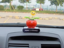 新車除醛，車內除甲醛什么辦法最好？