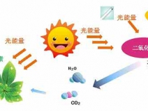 家中甲醛超標(biāo)，什么才是甲醛治理的正確姿勢(shì)？