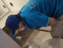 地毯也會(huì)引起甲醛超標(biāo)嗎？
