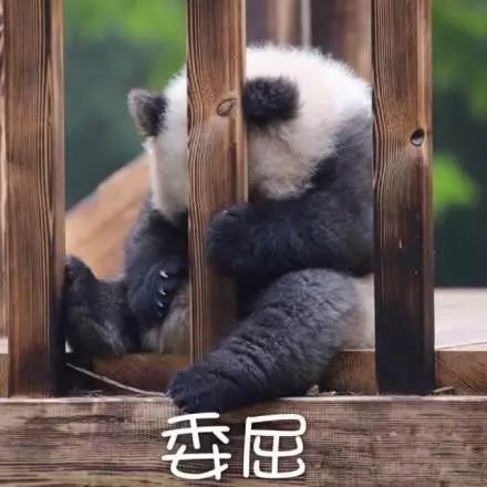 別大意！七大除甲醛“誤區(qū)”，信了你反而會(huì)生病！通風(fēng)、綠植、活性炭、熏蒸……你中招了嗎？