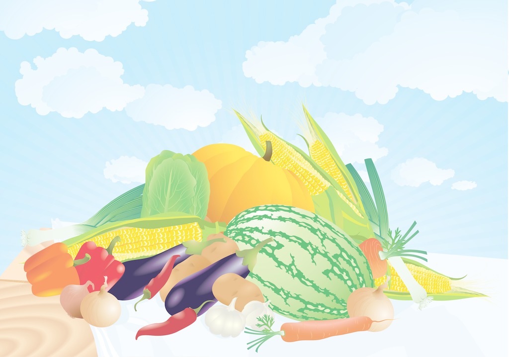夏季找除甲醛公司有哪些需要注意的？