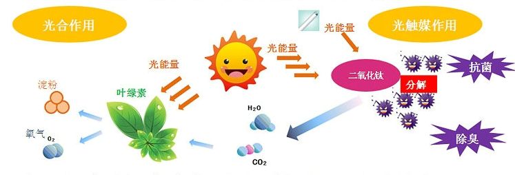 光觸媒去除房間甲醛爭議很大？